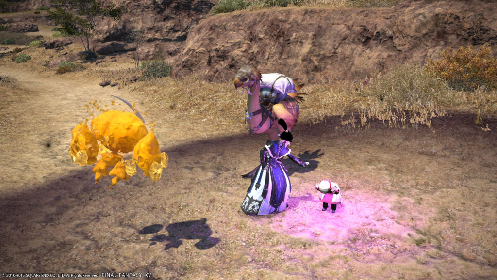 ffxiv_20150906_165643_20150906_b07