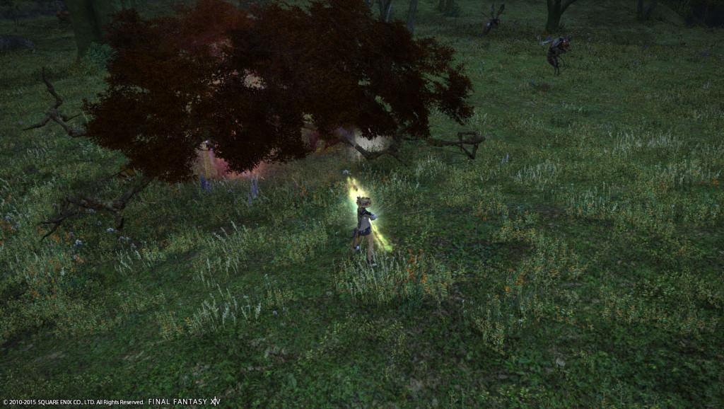 ffxiv_20150915_211959_20150915_a06
