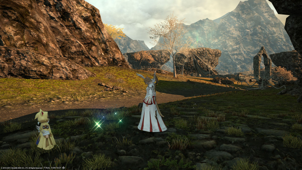 ffxiv_20151123_115026_20151123_d08