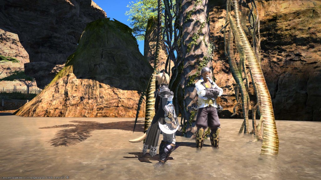 ffxiv_20160103_191903_20160103_a24