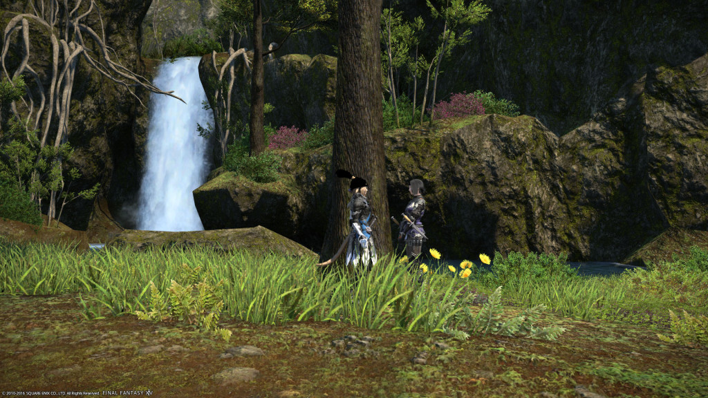 ffxiv_20160211_151715_20160211_d04