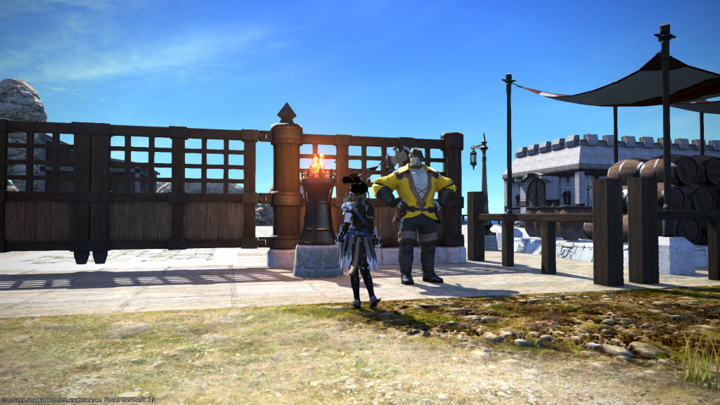 ffxiv_20160211_152304_20160211_d05